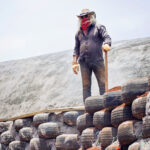 Diseñar edificios sustentables y autosuficientes es posible